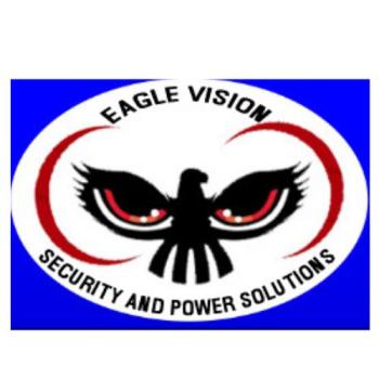 eagle vision surveillance