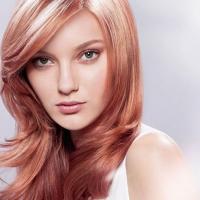 Hair Cutting in Thodupuzha, Kerala | India Hair Cutting in Thodupuzha, Kerala | India